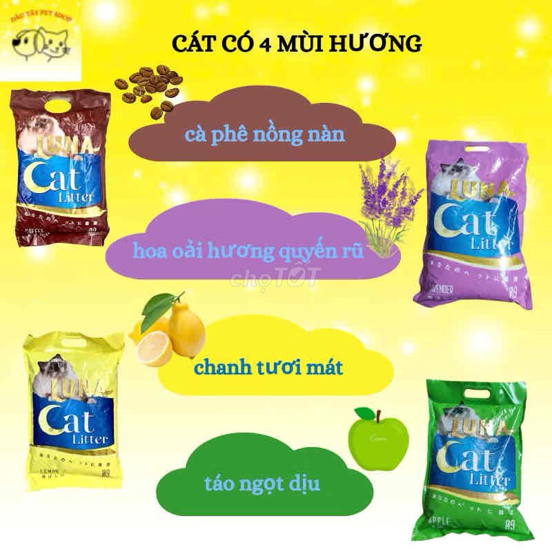 Cát vệ sinh Cat Litter. Mua bán Phụ kiện, Thức ăn, Dịch vụ tại Huyện Thanh Trì Hà Nội được đăng bởi Vũ Kiều Chinh hình 1