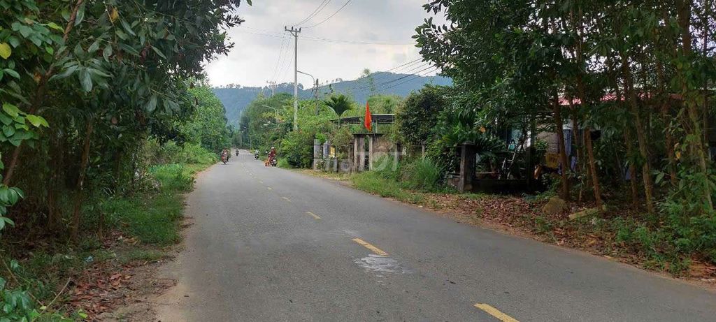 Đất xây nhà vườn, làm kho bãi, 5400m2 có 400m2 đất ở đường nhựa 2 oto Đường Nhựa 2 Oto, Xã Hòa Phú, Huyện Hòa Vang, Đà Nẵng Huyện Hòa Vang Đà Nẵng