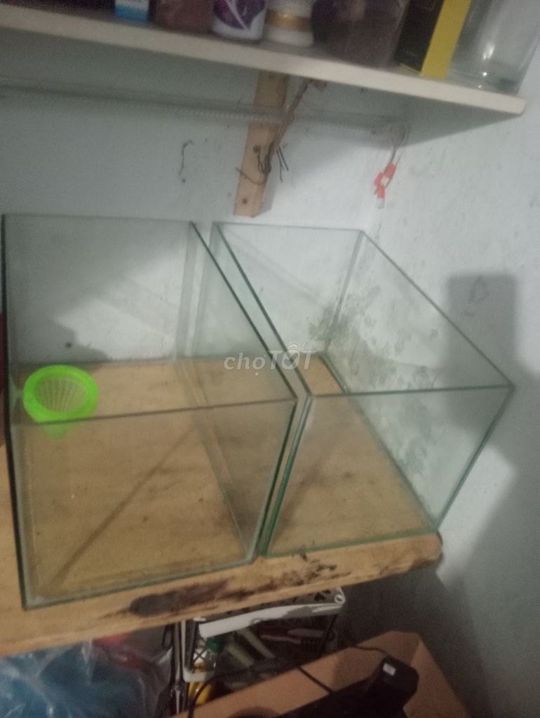 Hồ cá Kính 18W có máy oxy lọc. Mua bán Phụ kiện, Thức ăn, Dịch vụ tại Huyện Bình Chánh Tp Hồ Chí Minh được đăng bởi Thanh hình 1