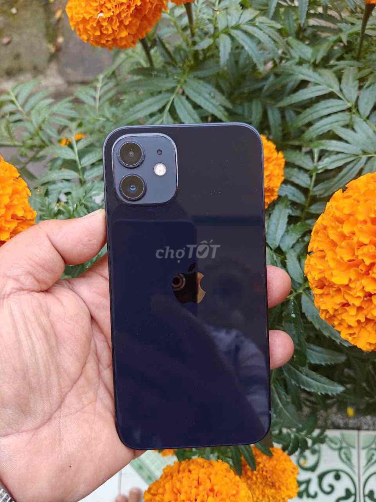 iPhone 12 thường máy đẹp rin fun pin 92%