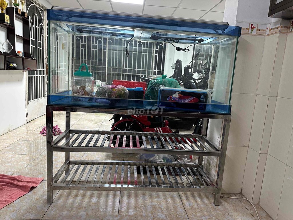 Bể cá cảnh Kính dày 7mm, chân Inox dày bóng. Mua bán Phụ kiện, Thức ăn, Dịch vụ tại Quận Bình Thạnh Tp Hồ Chí Minh được đăng bởi Nguyễn Thiên Lộc hình 1