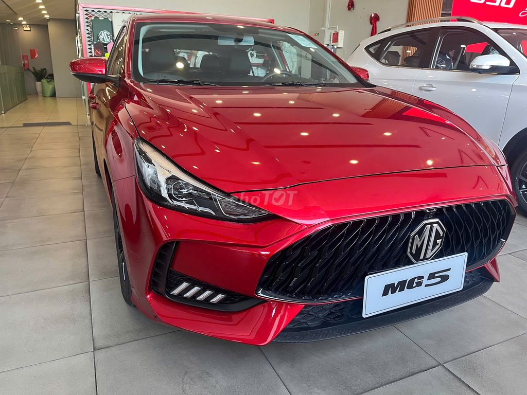 Ảnh số 2