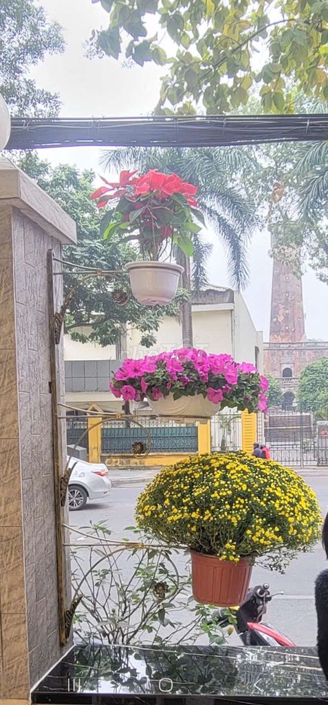 Kệ treo hoa sắt đặc 3 tầng. Mua bán Cây cảnh, đồ trang trí tại Quận Ba Đình Hà Nội được đăng bởi Phương hình 1