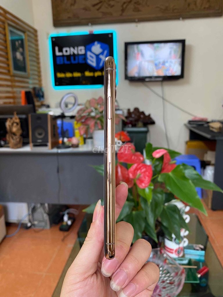 11prm gold 256gb. Mua bán Điện thoại tại Quận Cầu Giấy Hà Nội được đăng bởi Long blue 9x hình 3