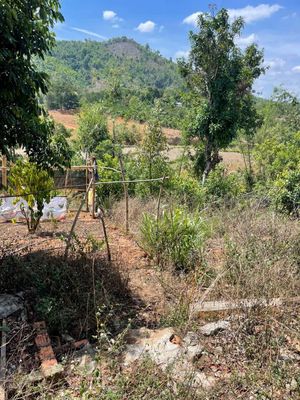 Cho thuê đất rộng, trồng trọt chăn nuôi. Cho thuê đất tại Huyện Ia Grai Gia Lai được đăng bởi Tran