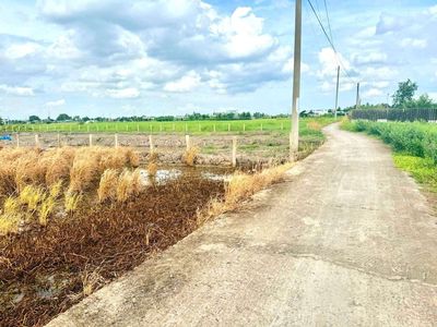 Quá thơm, 1960m2 đất thổ đường nguyễn văn tiết chỉ 1.8 tỷ. Mua bán đất tại Huyện Tân Trụ Long An được đăng bởi Hùng Lê
