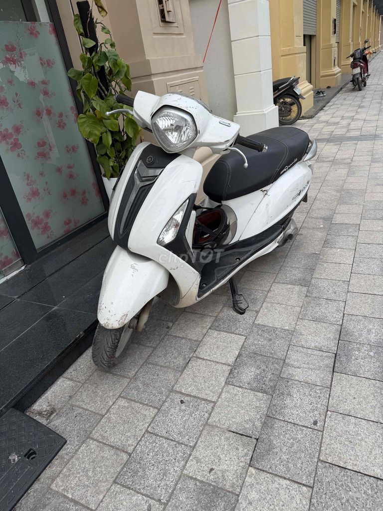 Grande trắng 2015 (k zin tặng xe) 1 chủ từ đầu. Mua bán Xe máy tại Quận Hà Đông Hà Nội được đăng bởi Đinh Trọng Chung hình 1