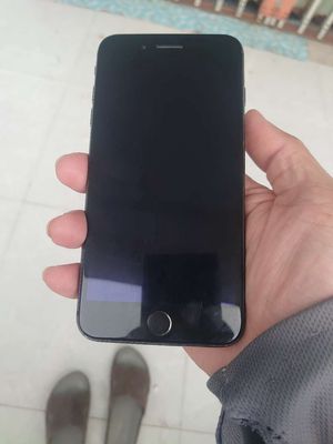 Iphone 8 plus chỉ sài wifi