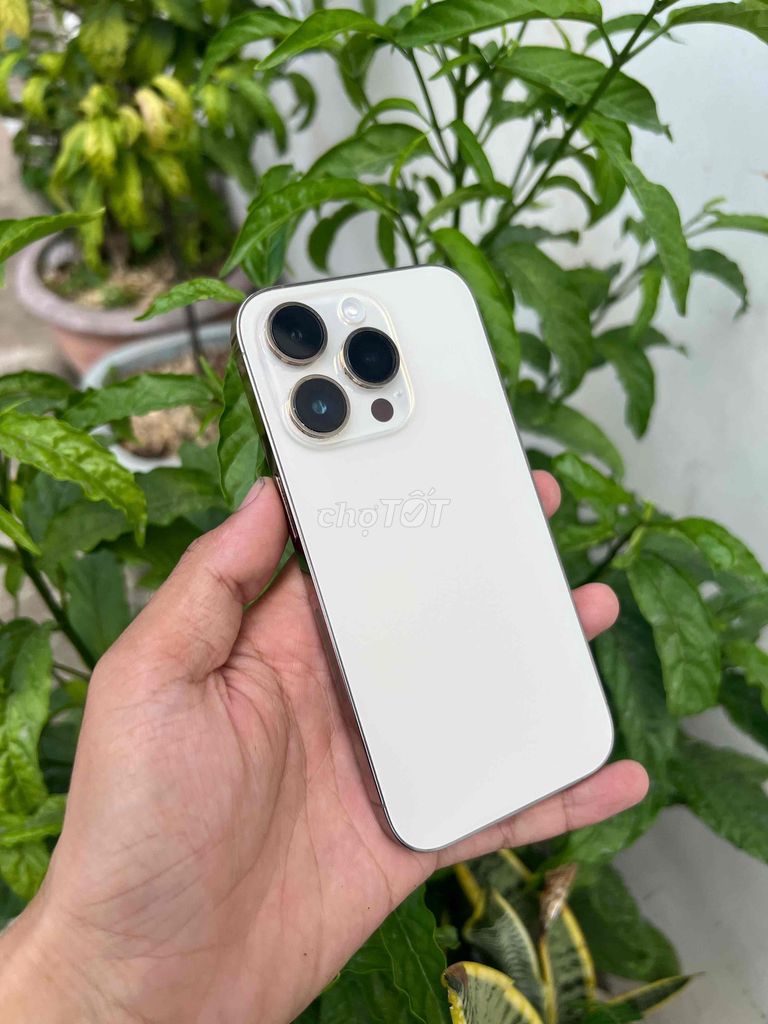 iPhone 14 Pro 128GB Gold. Mua bán Điện thoại tại Quận Sơn Trà Đà Nẵng được đăng bởi Thanh Phước mobile hình 1