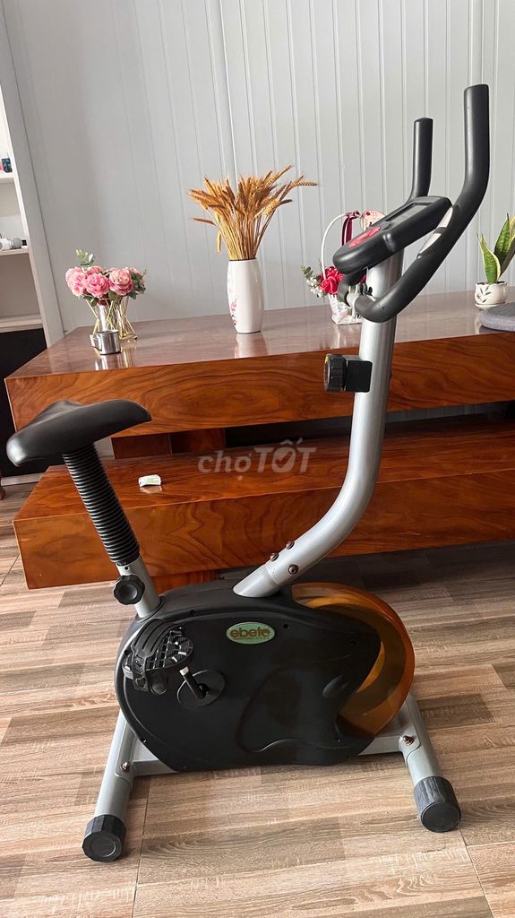 Xe đạp tập thể dục Ebete Xám, Đen
