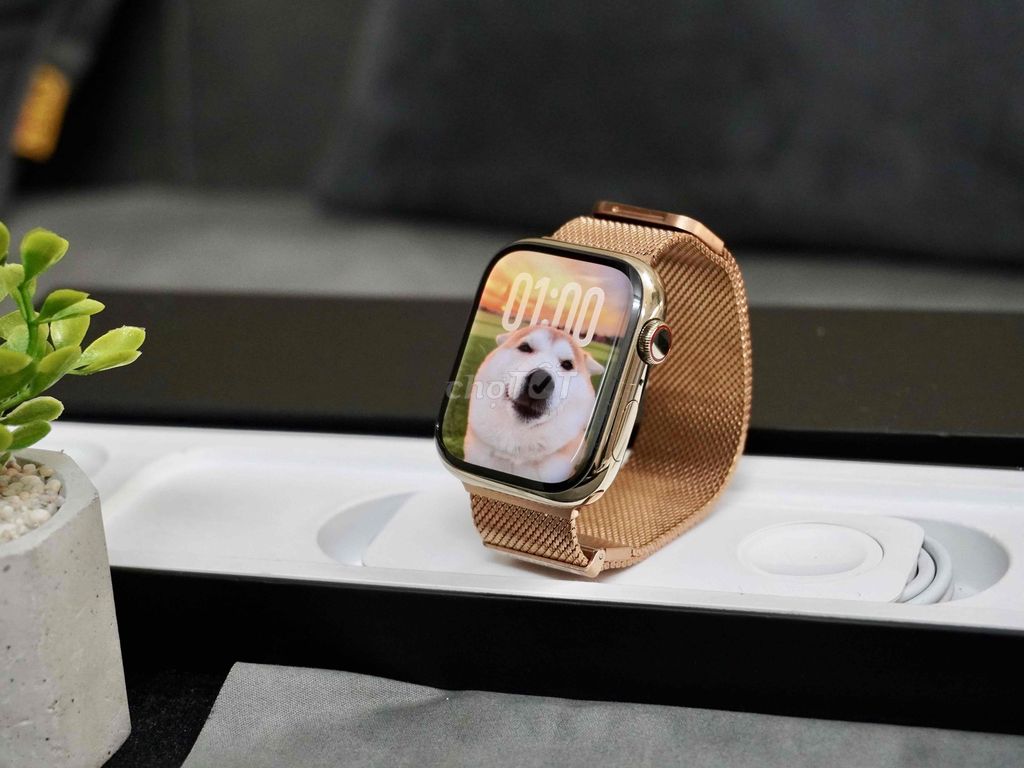 Apple Watch Series 7 45mm Vàng. Mua bán Thiết bị đeo thông minh tại Quận Bình Tân Tp Hồ Chí Minh được đăng bởi KHÁNH HUNTER hình 1