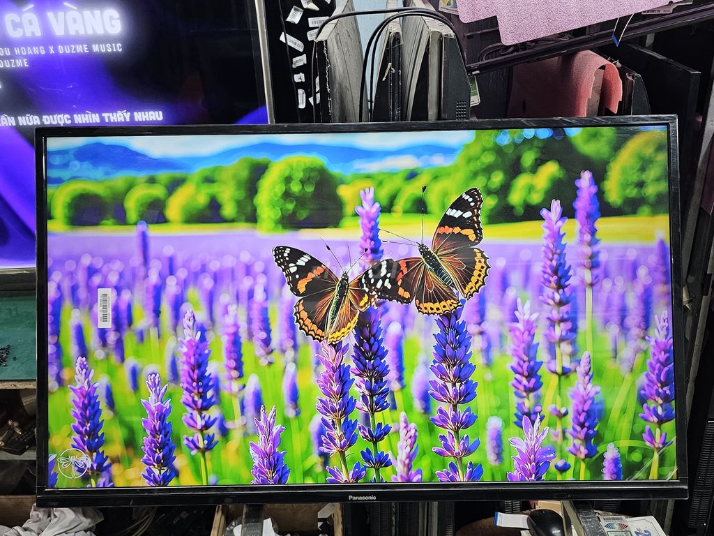 Panasonic 4K Android - 43"FX550V. Giọng Nói - Nét. Mua bán Tivi, Âm thanh tại Quận 12 Tp Hồ Chí Minh được đăng bởi Quốc Vinh hình 1