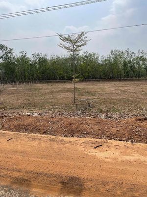 Ban lô đất lộc ninh