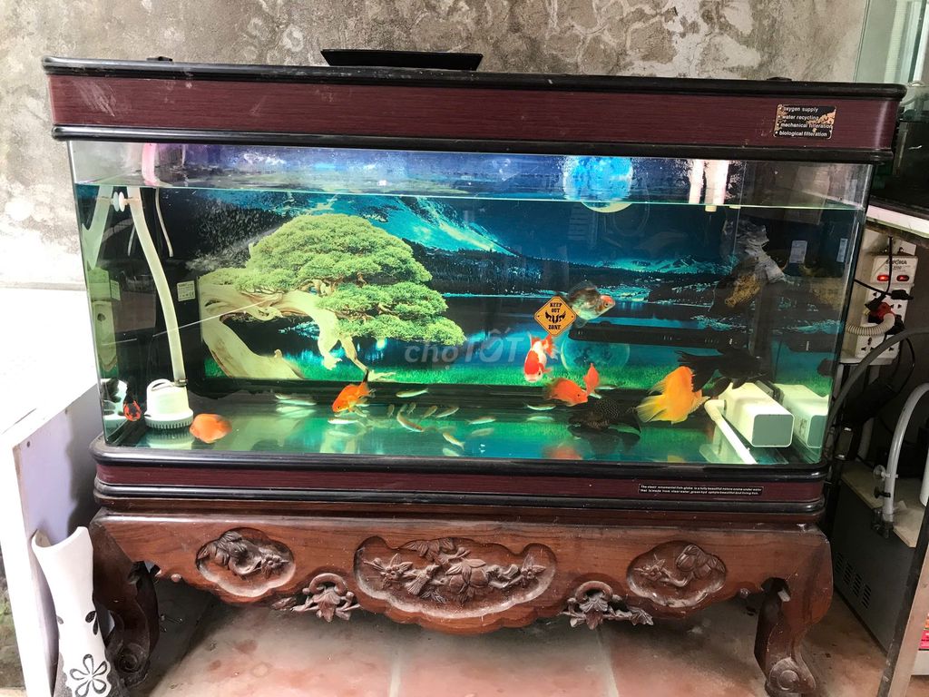 Bể cá cảnh Kính cường lực chân Gỗ 125x50x60 cm. Mua bán Phụ kiện, Thức ăn, Dịch vụ tại Quận Long Biên Hà Nội được đăng bởi iFixCenter Chuyên WIFI Camera Switch Mạng hình 1