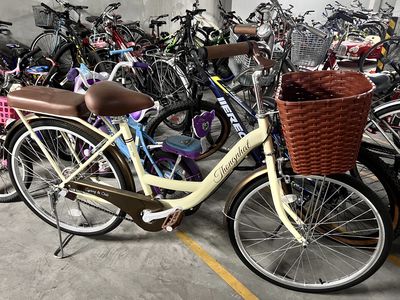 Bán xe đạp Thống nhất đó ít đi - Khu vực Bình Tân