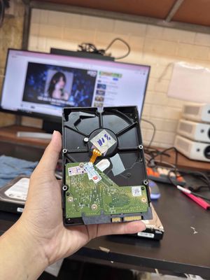 Ổ CỨNG HDD 500gb WD BLUE THÁO MÁY CHO ANH EM DÙNG. Mua bán Linh kiện (RAM, Card...) tại Quận Gò Vấp Tp Hồ Chí Minh được đăng bởi tiến tài 770 nguyễn kiệm p4 quận phú nhuận