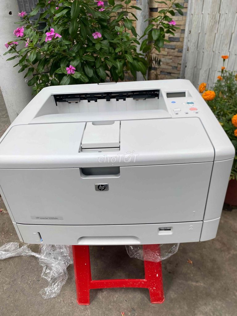 máy in A3 HP 5200. Mua bán Đồ dùng văn phòng tại Quận 3 Tp Hồ Chí Minh được đăng bởi MÁY IN SÀI GÒN hình 1