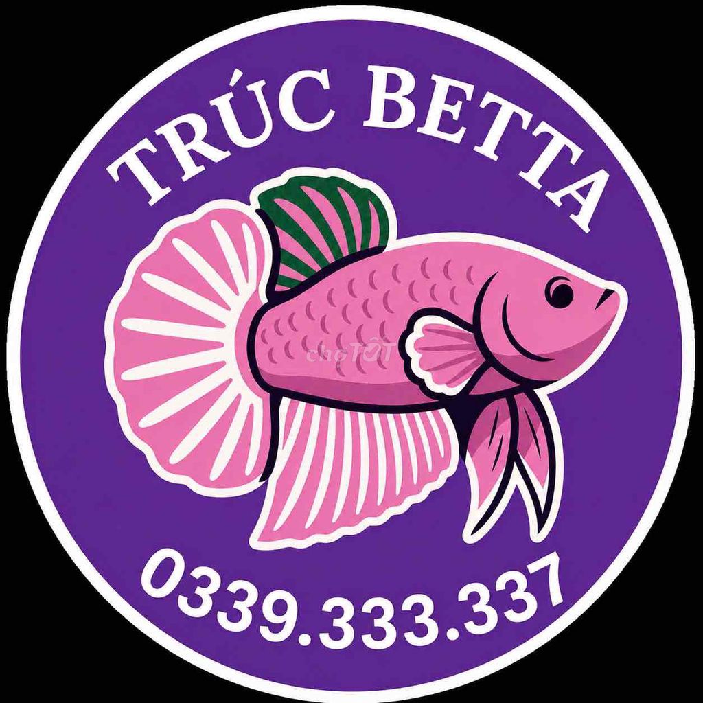 Nước Lá Bàng 500ml. Mua bán Phụ kiện, Thức ăn, Dịch vụ tại Huyện Đức Hòa Long An được đăng bởi Trúc Betta hình 1