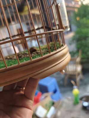 Cần bán 2 bộ hút mật.. Mua bán Chim tại Huyện Trực Ninh Nam Định được đăng bởi Nội Thất Phạm Tổng