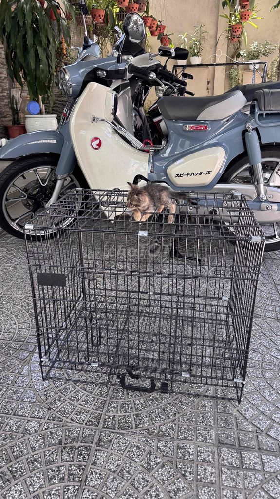 Cần pass 2 chuồng chó mèo. Mua bán Phụ kiện, Thức ăn, Dịch vụ tại Quận Thanh Khê Đà Nẵng được đăng bởi Mai Mai hình 1