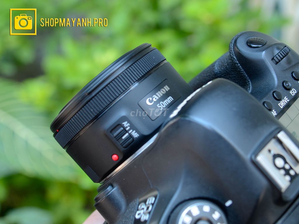 Canon 6D + 50STM - Fullframe quốc dân nhà Canon.