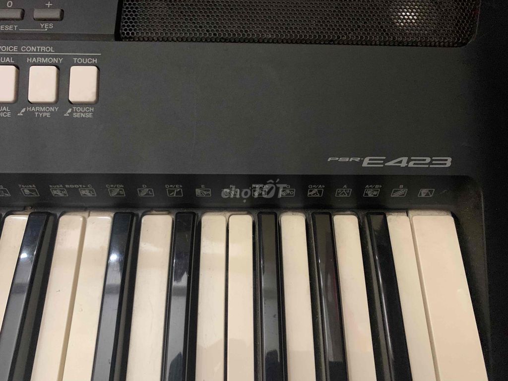 Đàn Organ Yamaha Psr E423