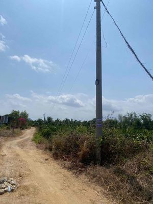 Bán 2 sào đất xã Tân Lập-Hàm Thuận Nam chính chủ. Mua bán đất tại Huyện Hàm Thuận Nam Bình Thuận được đăng bởi Lân Giang