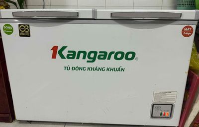 Thanh lý tủ đông mềm Kangaroo đang sử dụng