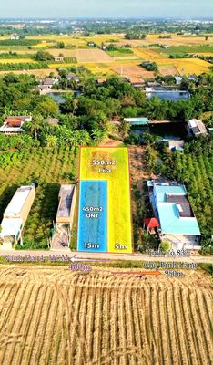 Hàng thơm, chỉ 2 tỷ sở hữu 1000m2 đất có 450m2 thổ cư cực đẹp. Mua bán đất tại Huyện Tân Trụ Long An được đăng bởi Thanh Hùng