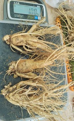 thực phẩm bổ dưỡng -bồi bổ sức khỏe. Mua bán Đồ ăn, thực phẩm và các loại khác tại Thành phố Biên Hòa Đồng Nai được đăng bởi Phạm văn an 