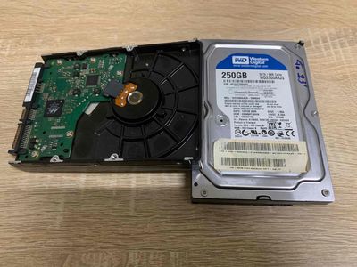 ổ cứng HDD 250gb