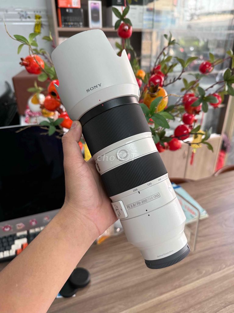 Sony 70-200 GM