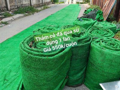 Thanh lý số lượng lớn cỏ đã qua sử dụng 500k/cuộn. Mua bán Đồ chuyên dụng, Giống nuôi trồng tại Quận Tân Bình Tp Hồ Chí Minh được đăng bởi Cỏ Nhân Tạo Miền Nam