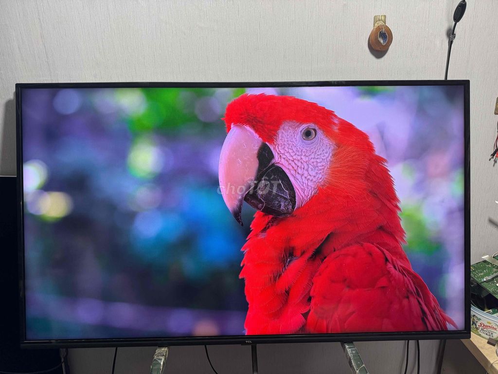 55inh TCL smart 4k