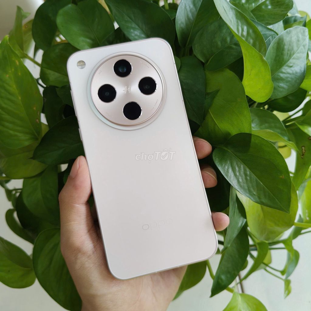 Oppo Find X8 (16/512GB) Fullbox 𝗚𝗢𝗣𝟬₫𝗚𝗜𝗔𝗢𝗟𝗨𝗨. Mua bán Điện thoại tại Quận Ninh Kiều Cần Thơ được đăng bởi DI ĐỘNG BULL hình 1