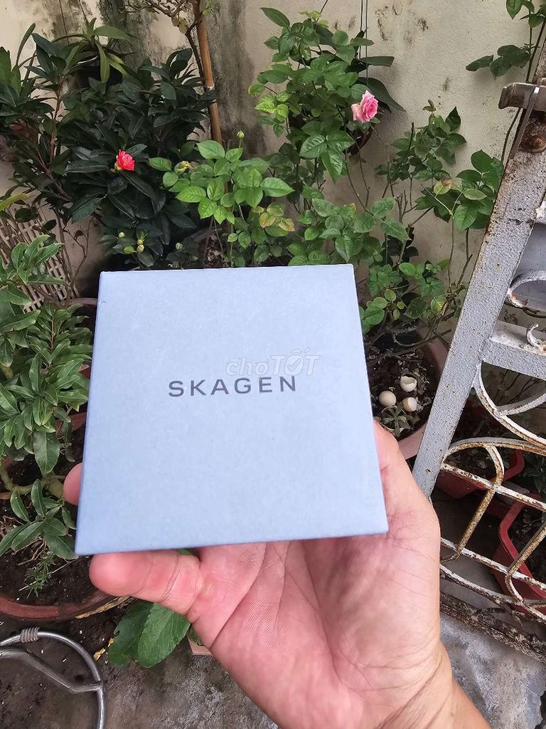 Đồng hồ nữ Skagen của Đan Mạch, lướt xách tay Nhật