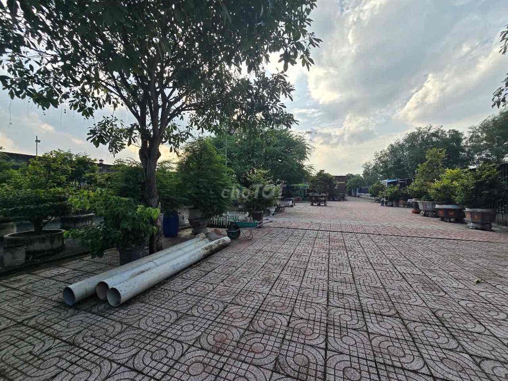 Mặt tiền đường cây dầu. Mua bán nhà ở tại Huyện Nhơn Trạch Đồng Nai được đăng bởi NGUYỄN THANH CHÍNH hình 1