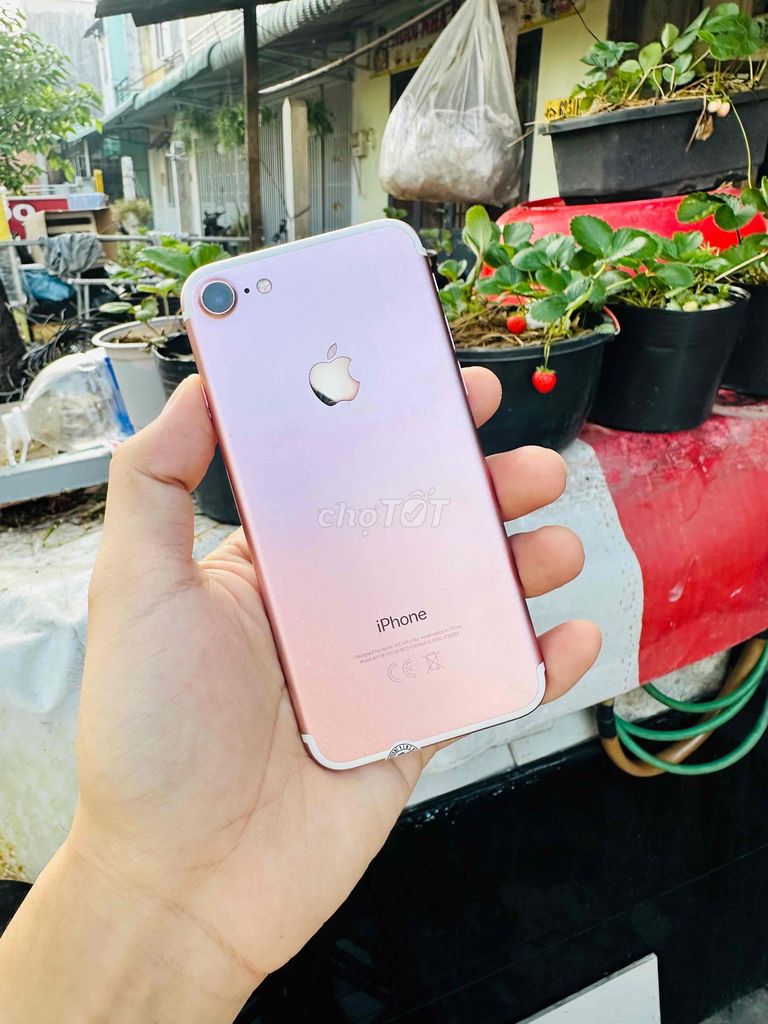 iphone 7 128Gb quốc tế. Mua bán Điện thoại tại Quận 12 Tp Hồ Chí Minh được đăng bởi Nguyễn Văn Vang hình 1