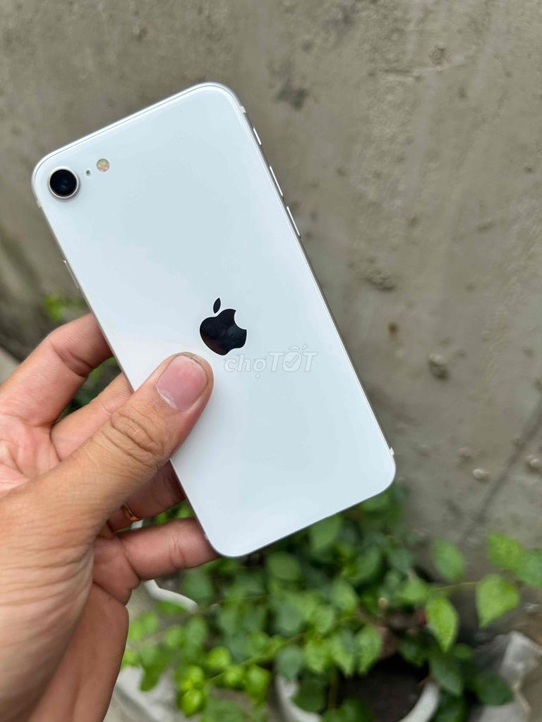 Apple iPhone SE 2 128GB Trắng 98% đẹp. Mua bán Điện thoại tại Quận 12 Tp Hồ Chí Minh được đăng bởi Chí Cường  hình 1