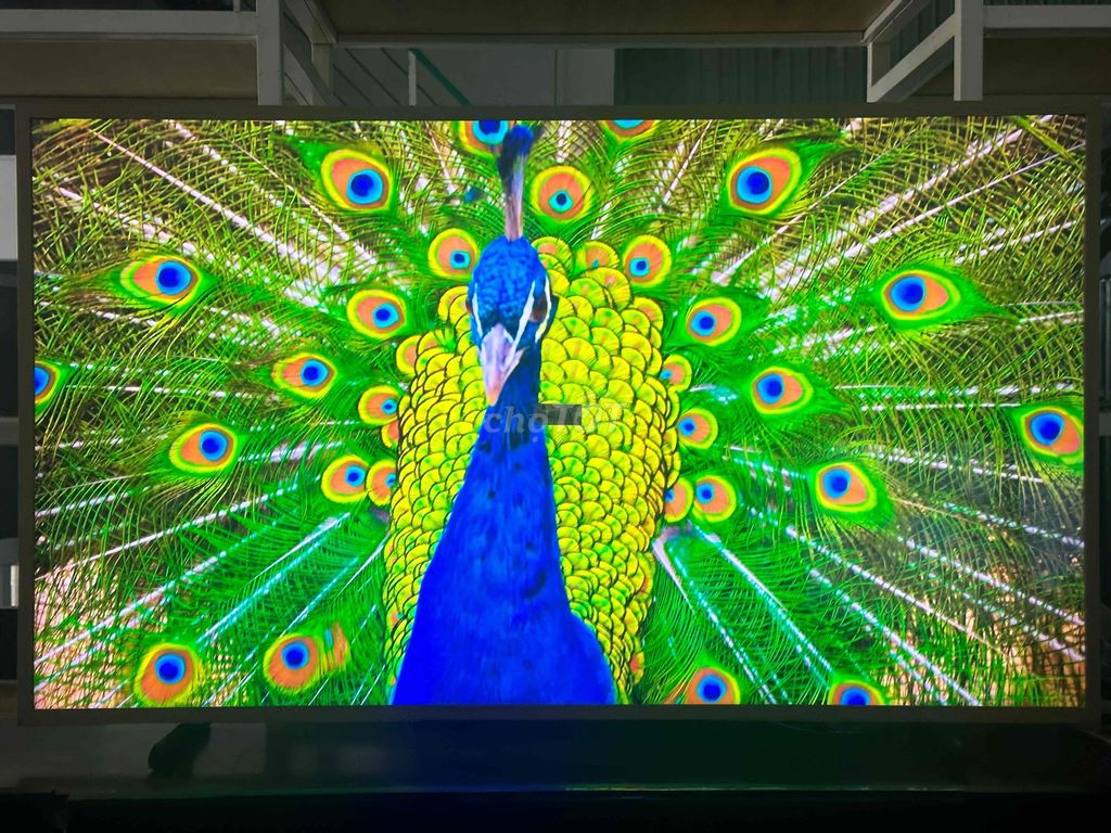 Tivi Samsung The Frame 55 4K. Mua bán Tivi, Âm thanh tại Quận Cẩm Lệ Đà Nẵng được đăng bởi dong hai hình 1