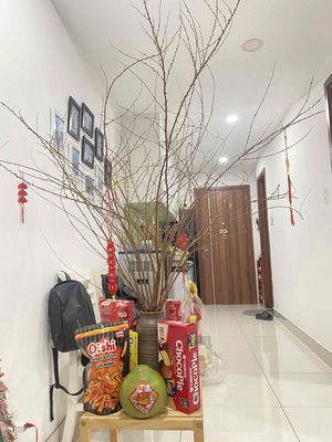 Bán căn hộ 39m2 chung cư samsora