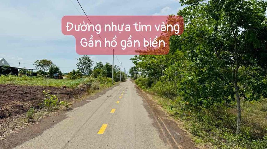 SIÊU RẺ - PHƯỚC LONG THỌ NGAY GẦN TỈNH LỘ 997- 1310M2 CHỈ 1TY750