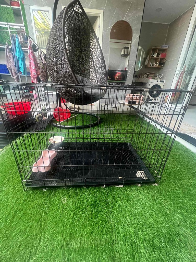 Chuồng thú cưng Sắt sơn tĩnh điện size L. Mua bán Phụ kiện, Thức ăn, Dịch vụ tại Huyện Hóc Môn Tp Hồ Chí Minh được đăng bởi hương hình 1