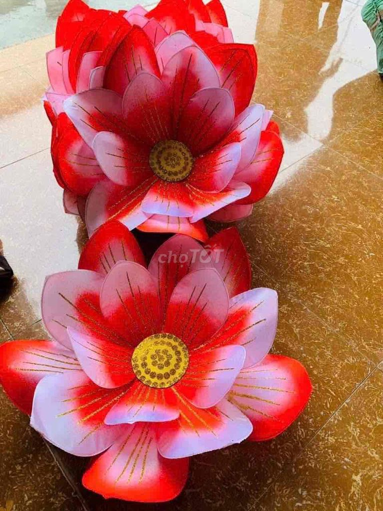 Hoa sen đỏ 60cm 10 cặp. Mua bán Sở thích khác tại Quận Thanh Khê Đà Nẵng được đăng bởi Lê thanh hình 1
