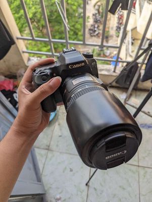 Canon 80D + lens giá bèo