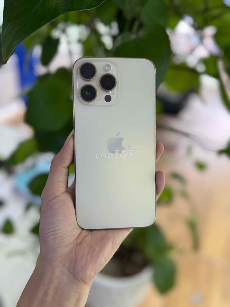 Apple iPhone 14 Pro Max 128GB Vàng Đã sử dụng. Mua bán Điện thoại tại Quận Thanh Khê Đà Nẵng được đăng bởi Minh Quân hình 1