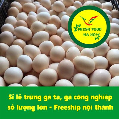 Phân phối, bán lẻ trứng gà số lượng lớn tại Hà nội