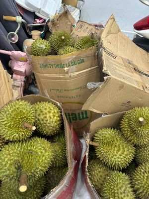 sầu ri 6 rụng chín cây. Mua bán Đồ ăn, thực phẩm và các loại khác tại Thành phố Thủ Đức Tp Hồ Chí Minh được đăng bởi bảo bảo