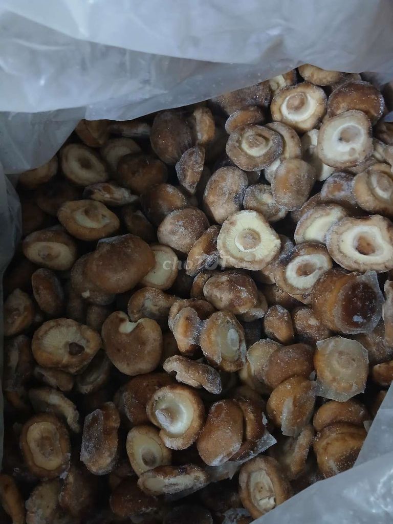 Nấm đông cô nguyên cây đông lạnh. Mua bán Đồ ăn, thực phẩm và các loại khác tại Quận Sơn Trà Đà Nẵng được đăng bởi Ha hình 1