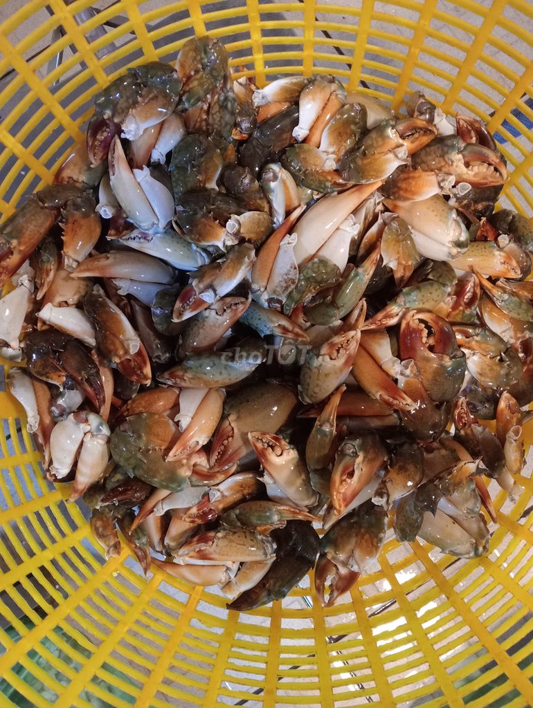 220k 1kg càng cua vừa